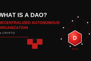 What is Decentralized Autonomous Organization (DAO) in crypto?