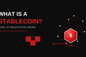 What is Stablecoin? How Stablecoins Work